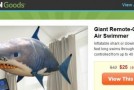 Groupon is the 21st Century’s “Sky Mall”