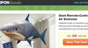 Groupon is the 21st Century’s “Sky Mall”